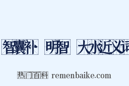 智囊补·明智·大水近义词是什么意思的图片